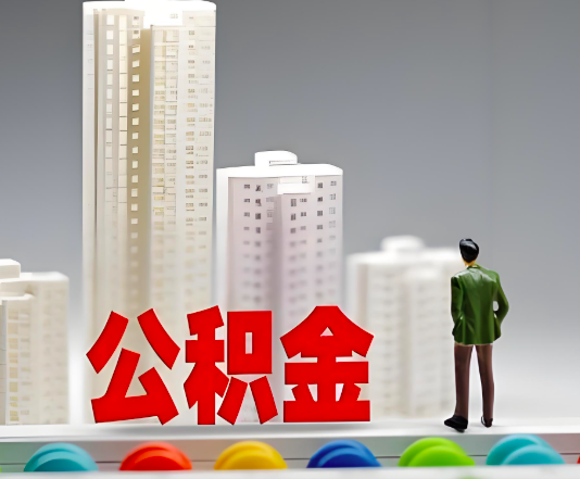 绥化委托他人办理需要提供什么证件。